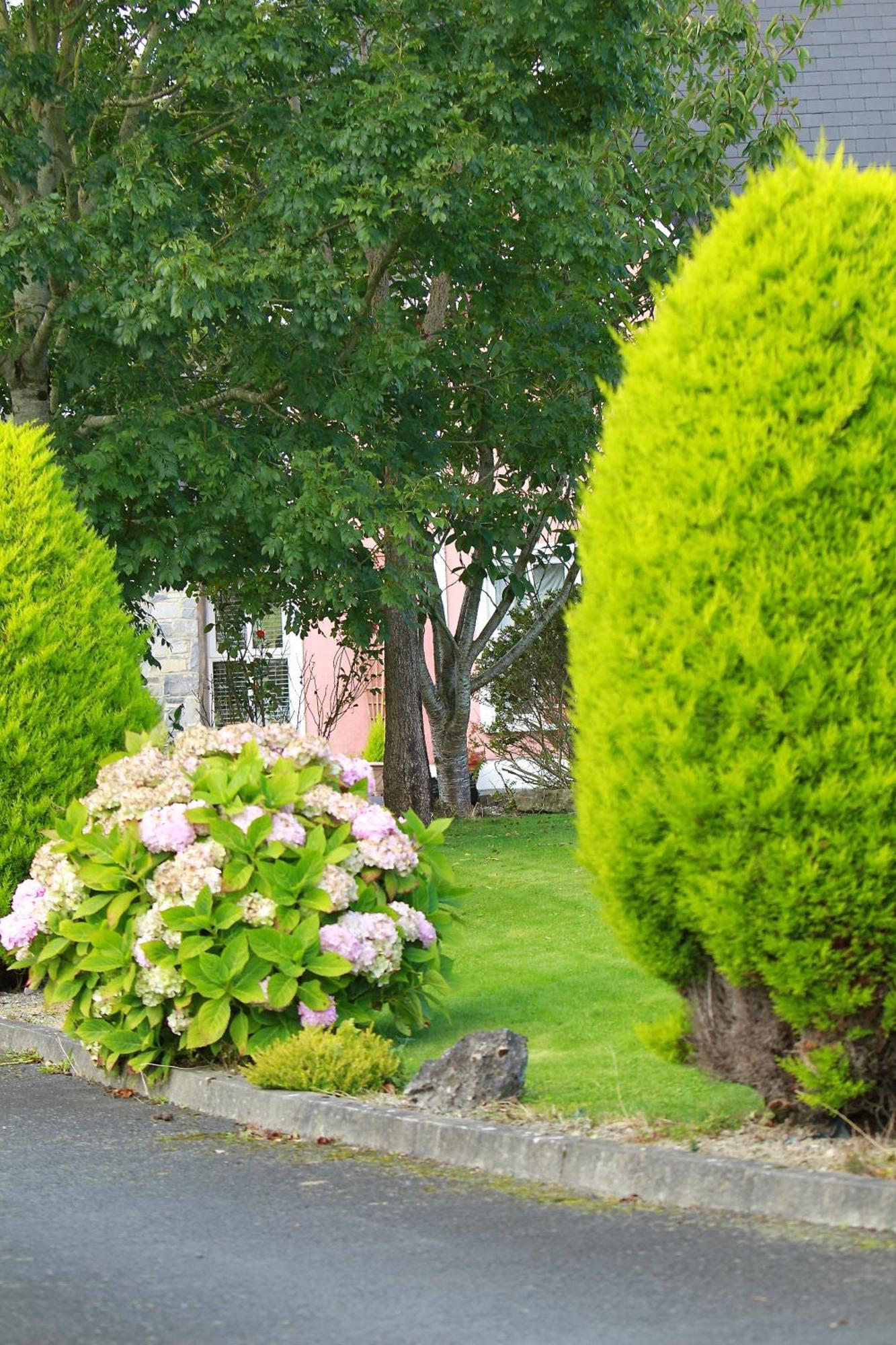 Parkhouse B&B Bunratty Εξωτερικό φωτογραφία